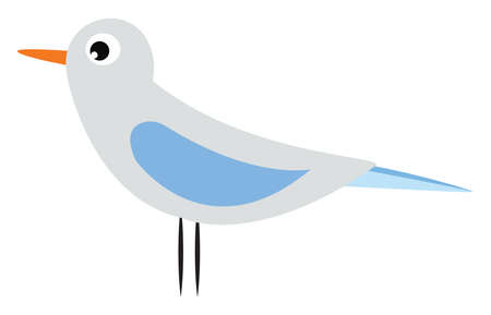 Cute seagull, illustration, vector on white background.のイラスト素材