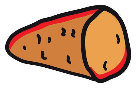 Sweet potato drawing, illustration, vector on white background.のイラスト素材