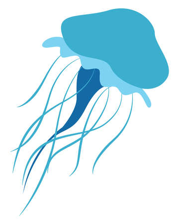 Blue jellyfish, illustration, vector on white background.のイラスト素材