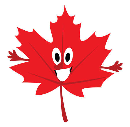 Canada leaf, illustration, vector on white background.のイラスト素材
