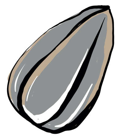 Sunflower seed, illustration, vector on white background.のイラスト素材