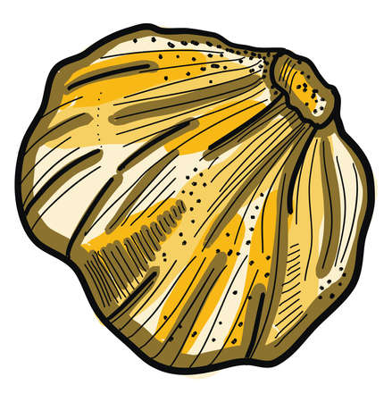 Elephant garlic, illustration, vector on white background.のイラスト素材