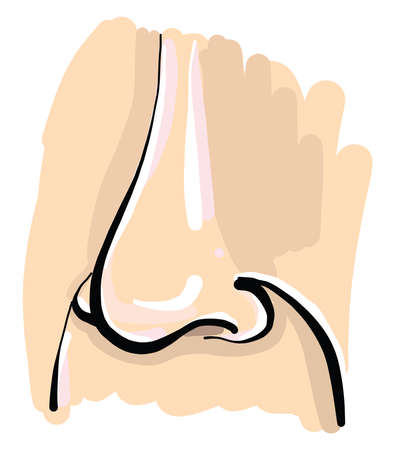 Front nose, illustration, vector on white background.のイラスト素材