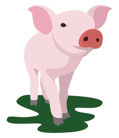 Pig animal, illustration, vector on white backgroundのイラスト素材