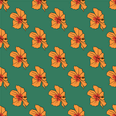 Hibiscus pattern , illustration, vector on white backgroundの写真素材