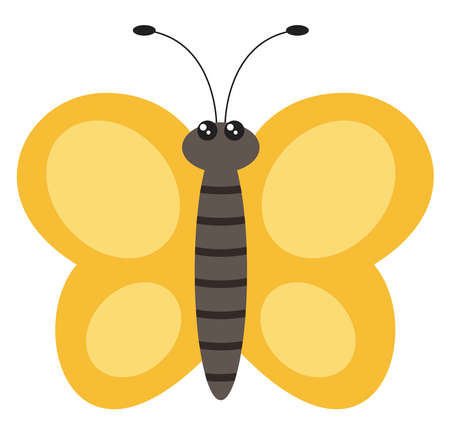 Yellow butterfly, illustration, vector on white backgroundのイラスト素材