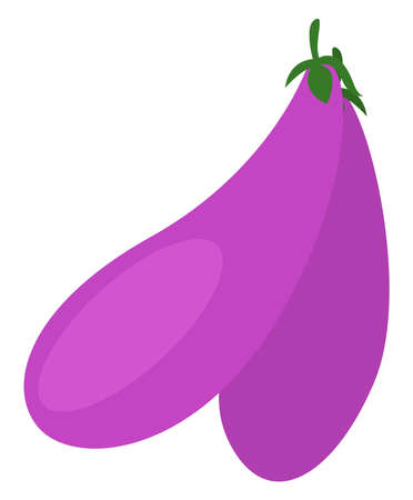 Purple eggplant, illustration, vector on white backgroundのイラスト素材