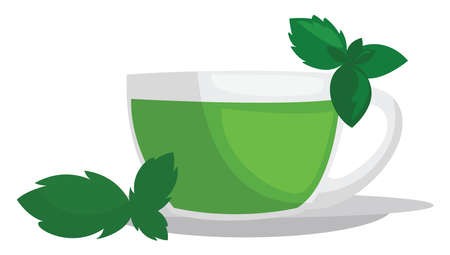 Tea with mint, illustration, vector on white backgroundのイラスト素材