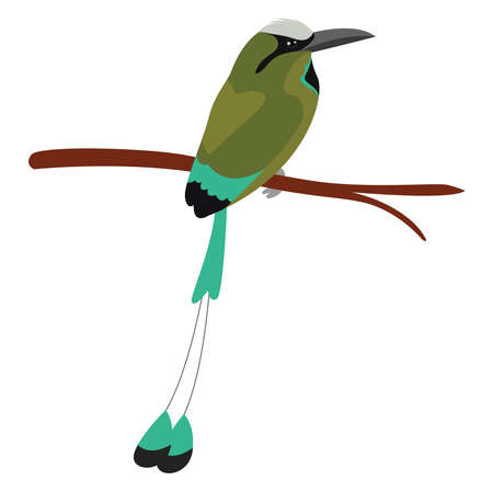 Green bird on a branch, illustration, vector on white backgroundのイラスト素材