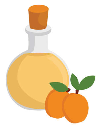 Fruit vodka, illustration, vector on white backgroundのイラスト素材