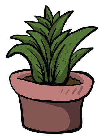 Plant in a pot, illustration, vector on white backgroundのイラスト素材