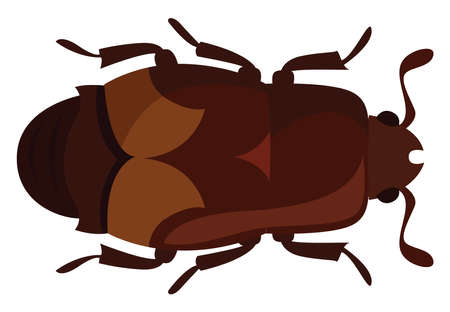 Sap beetle, illustration, vector on white backgroundのイラスト素材