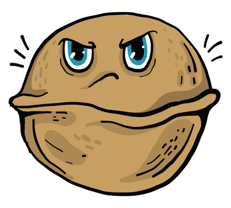 Angry walnut, illustration, vector on white backgroundのイラスト素材