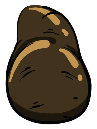 Dirty potato, illustration, vector on white backgroundのイラスト素材