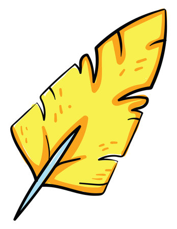 Yellow feather, illustration, vector on white backgroundのイラスト素材