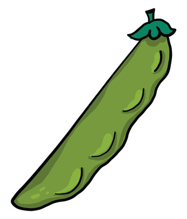Green peas, illustration, vector on white backgroundのイラスト素材