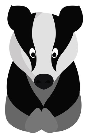 Little badger, illustration, vector on white backgroundのイラスト素材