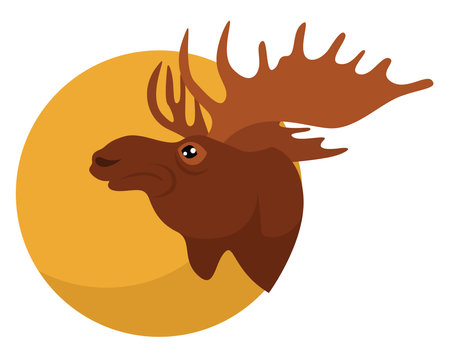 Moose head, illustration, vector on white backgroundのイラスト素材