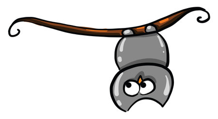 Owl on a branch, illustration, vector on white backgroundのイラスト素材