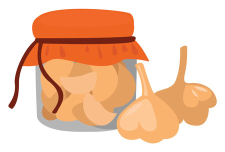 Pickled garlic, illustration, vector on white backgroundのイラスト素材