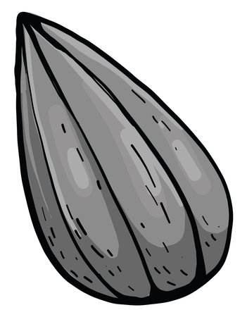 Grey sunflower seed, illustration, vector on white backgroundのイラスト素材