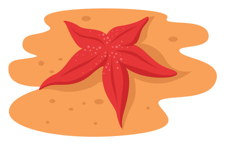 Starfish on the sand, illustration, vector on white backgroundのイラスト素材
