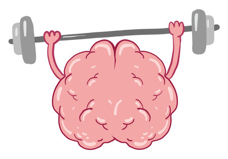 Brain in training, illustration, vector on white background.のイラスト素材