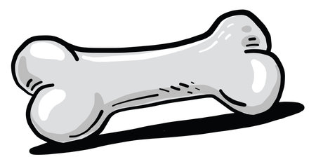 White bone, illustration, vector on white background.のイラスト素材