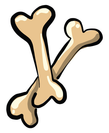 Two bones, illustration, vector on white background.のイラスト素材