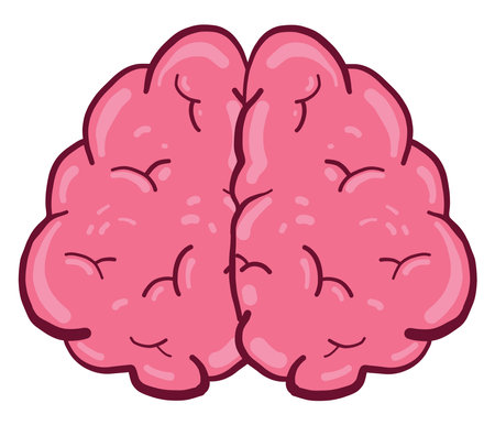 Interesting brain, illustration, vector on white background.のイラスト素材