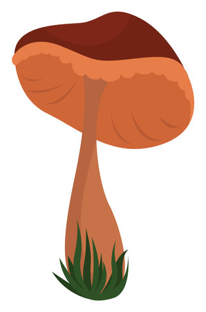 Lonely mushroom, illustration, vector on white background.のイラスト素材