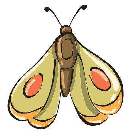 Green moth, illustration, vector on white background.のイラスト素材