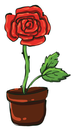 Red rose, illustration, vector on white background.のイラスト素材