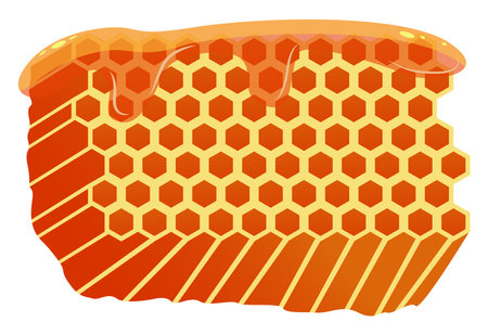 Bee honey ,illustration, vector on white background.のイラスト素材