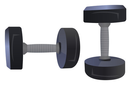 Workout weights ,illustration, vector on white background.のイラスト素材