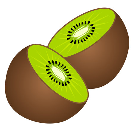 Kiwi the fruit ,illustration, vector on white background.のイラスト素材