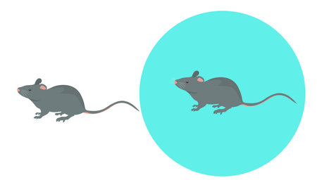 Little mouse ,illustration, vector on white background.のイラスト素材