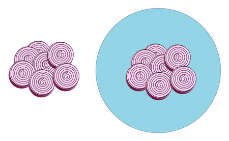 Onion salad ,illustration, vector on white background.のイラスト素材