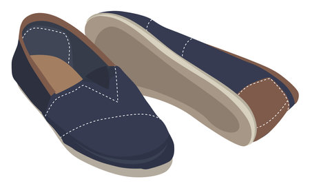 Fancy shoes ,illustration, vector on white background.のイラスト素材