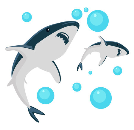 Two sharks ,illustration, vector on white background.のイラスト素材