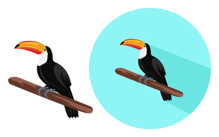 Toucan bird ,illustration, vector on white background.のイラスト素材