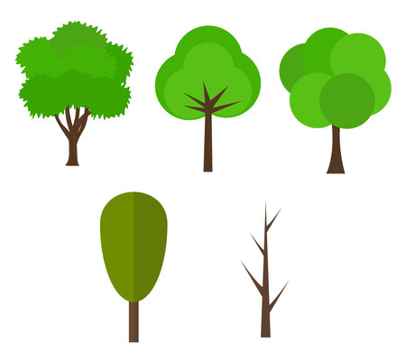 Tree evolving ,illustration, vector on white background.のイラスト素材