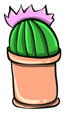 Cactus with a flower,illustration,vector on white backgroundのイラスト素材