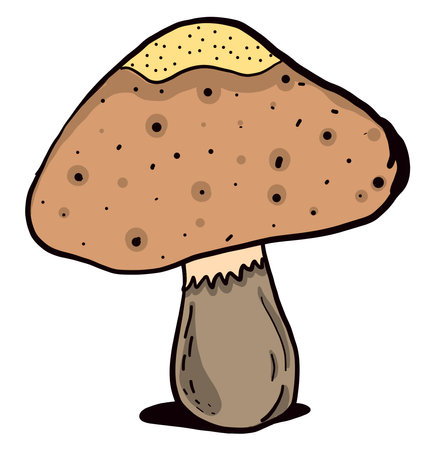 Brown mushroom ,illustration,vector on white backgroundのイラスト素材