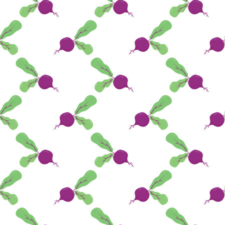 Baby radish , seamless pattern on a white background.のイラスト素材