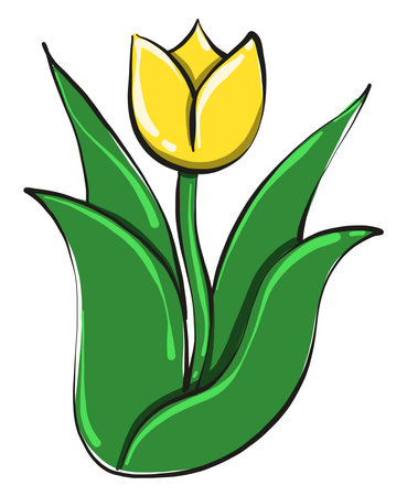 Yellow flower ,illustration, vector on white backgroundのイラスト素材