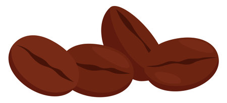 Coffee beans, illustration, vector on a white background.のイラスト素材