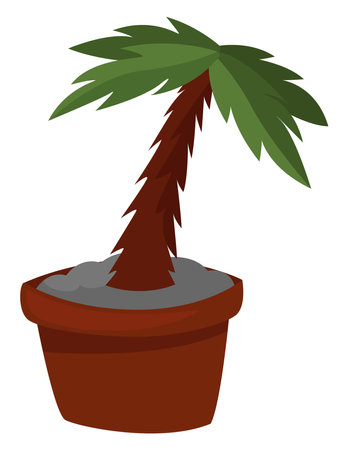 Palm in the pot, illustration, vector on a white background.のイラスト素材