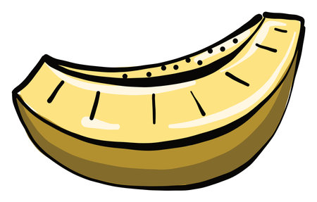 Sliced melon, illustration, vector on a white background.のイラスト素材