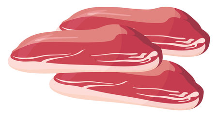 Fresh meat, illustration, vector on a white background.のイラスト素材